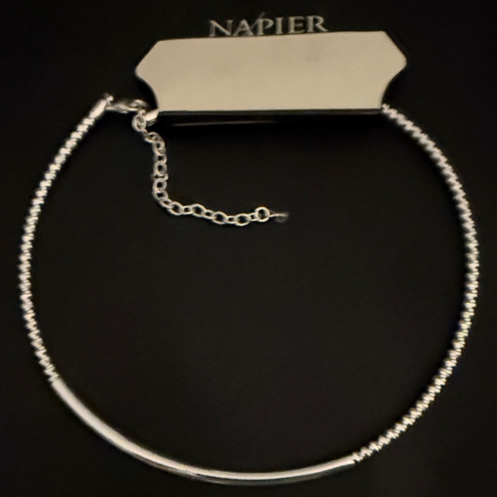 Napier Elegant Silver Choker Necklace